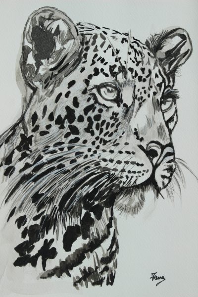 Black and white leopard