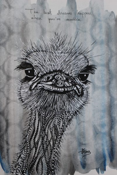 Ostrich